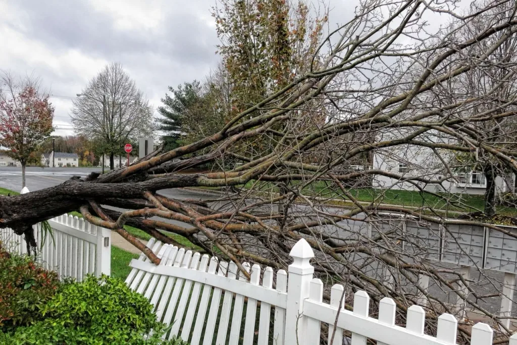 fence repair near me, wayne fence, repair fence, wood fence repair, PVC fence repair, wood fence repair